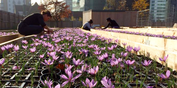 Transforming Croydon – Community Crowdfunding Workshop