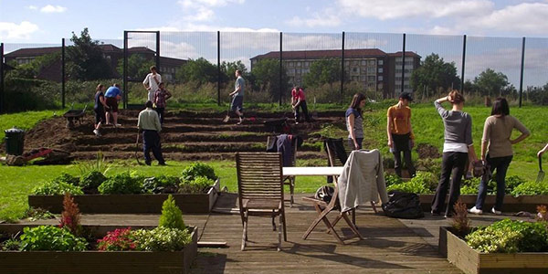 Volunteers planting a community growing scheme